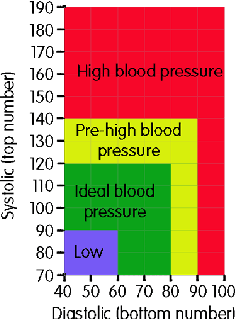 Low Blood Pressure Hypotension Treatment More Health Kura