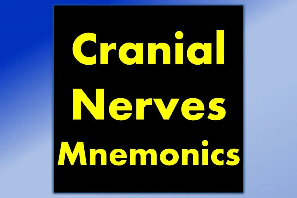 acronym-for-cranial-nerves-mnemonic-dirty-funny-easy-to-remember