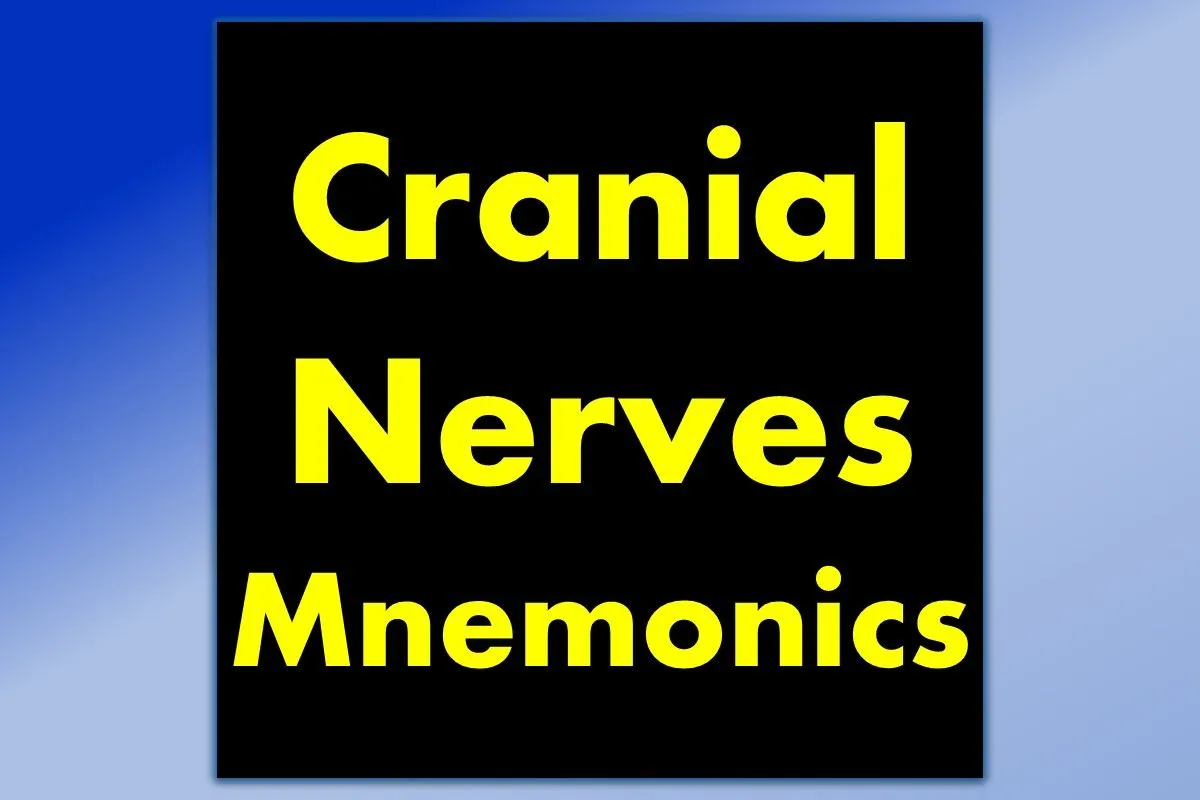 acronym-for-cranial-nerves-mnemonic-dirty-funny-easy-to-remember