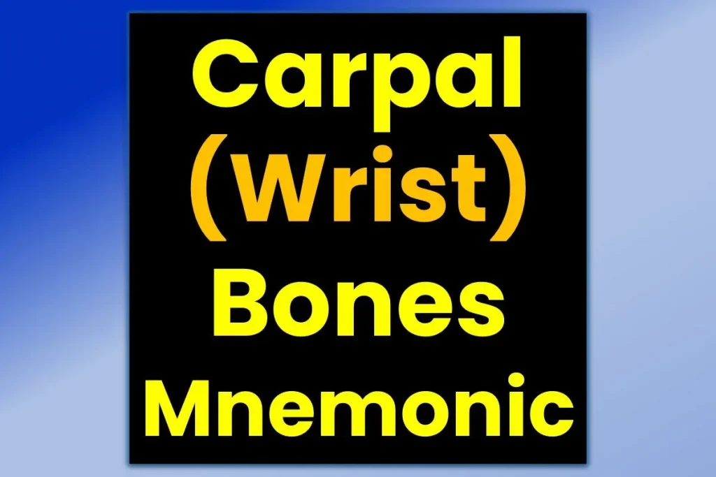 carpal-bones-mnemonic-wrist-bones