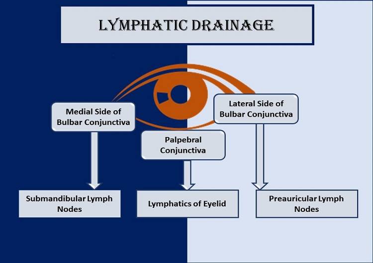 lymphatic-drainage
