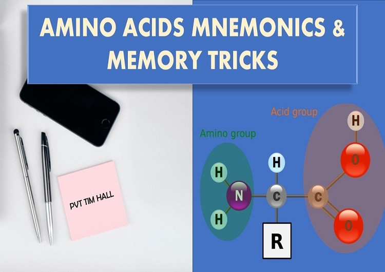 nonessential-and-essential-amino-acids-mnemonics