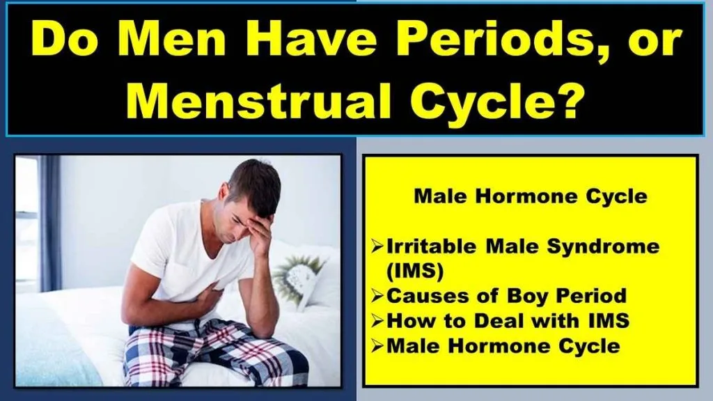 men-periods-menstrual-hormone-cycle