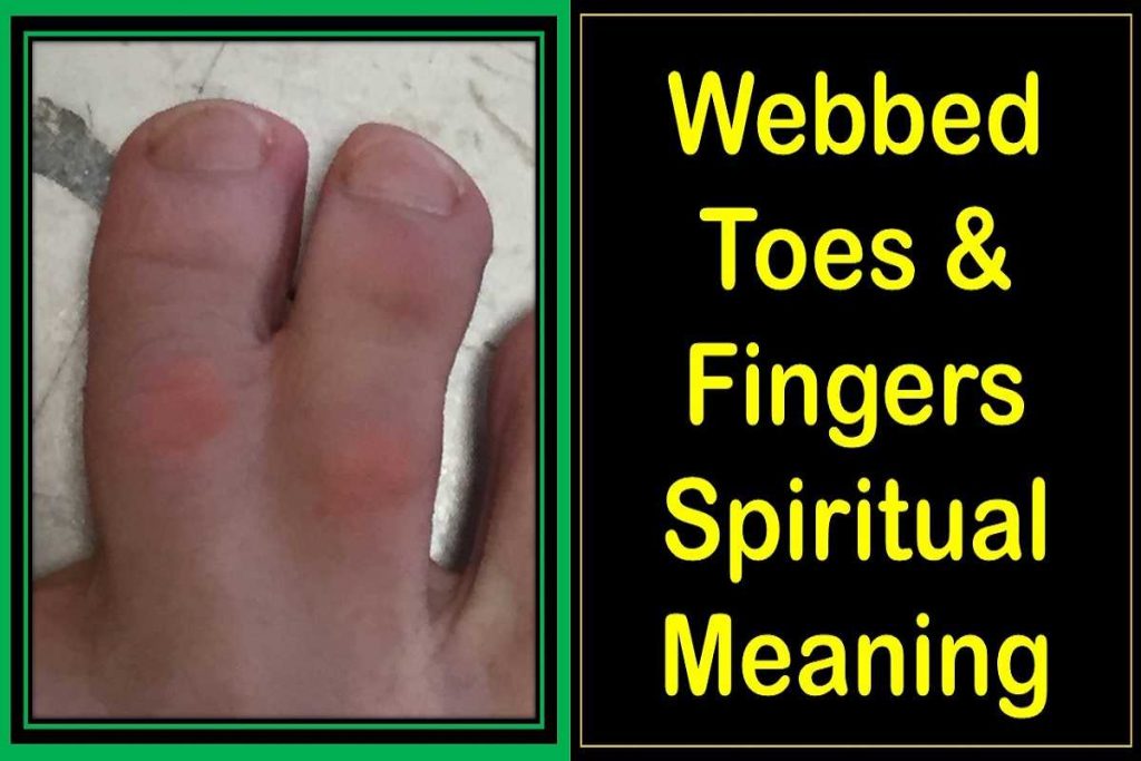 webbed-taoes-fingers-spiritual-meaning-symbolism