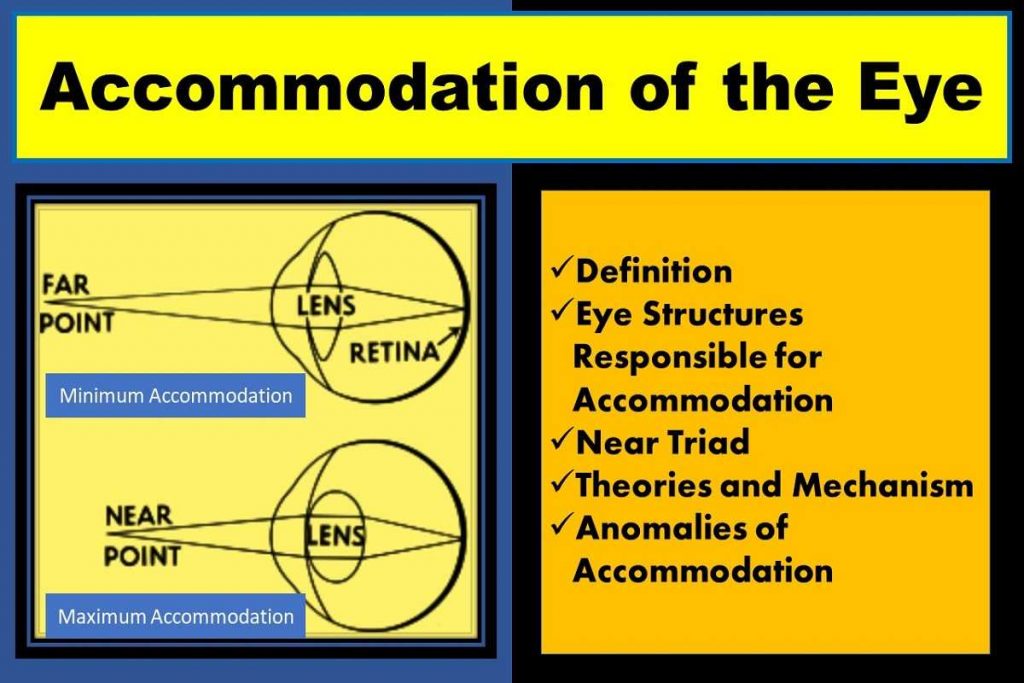 accommodation-of-eye-definition-theories-anomalies