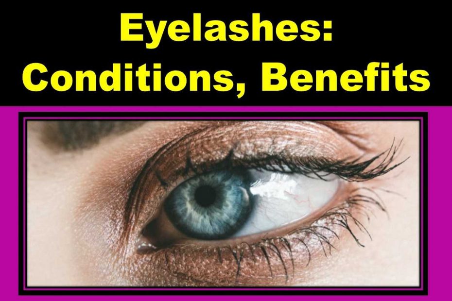 eyelashes-conditions-scientific-name-benefits