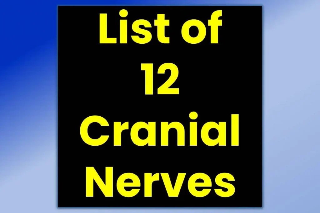 list-of-12-cranial-nerves-names-in-order