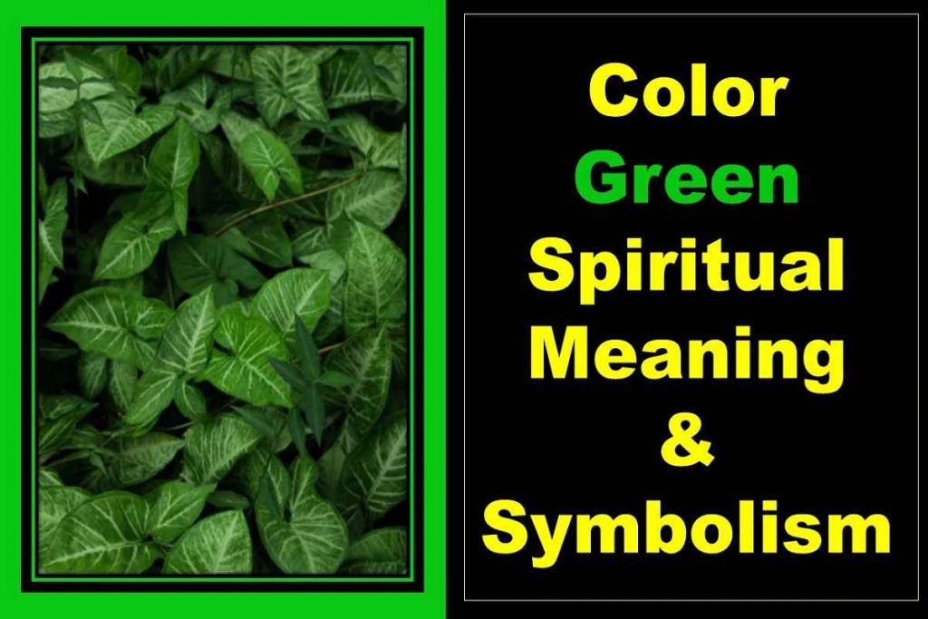 color-green-spiritual-meaning-symbolism-representation