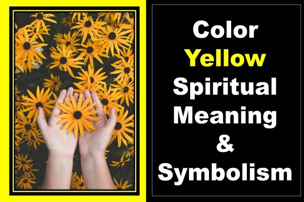 What Is Yellow Color Code