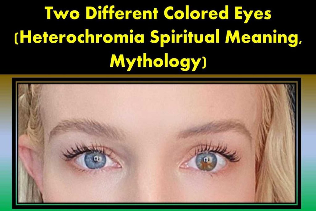 two-different-colored-eyes-central-heterochromia-spiritual-meaning-mythology-superstition